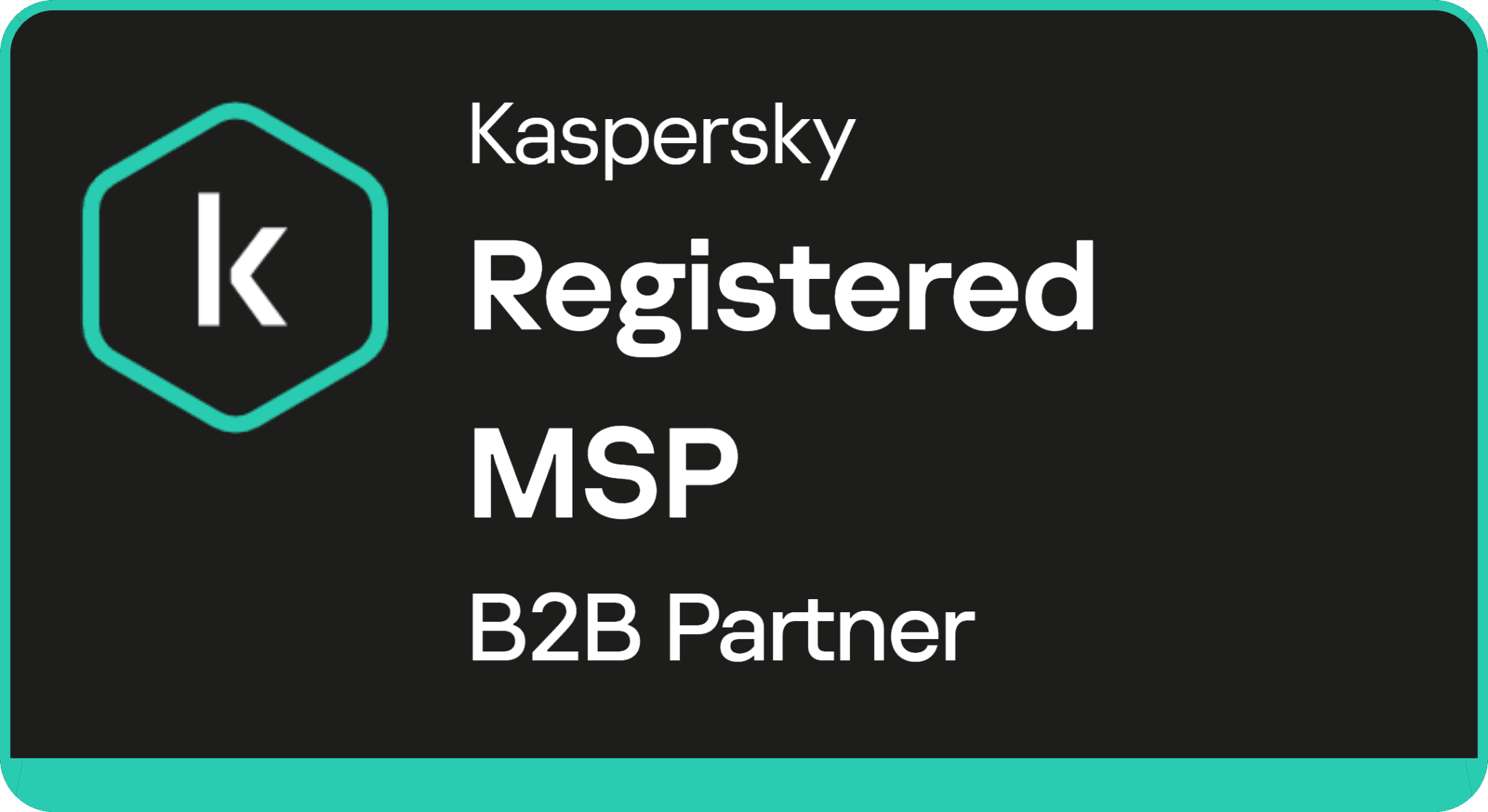 Kaspersky Partner